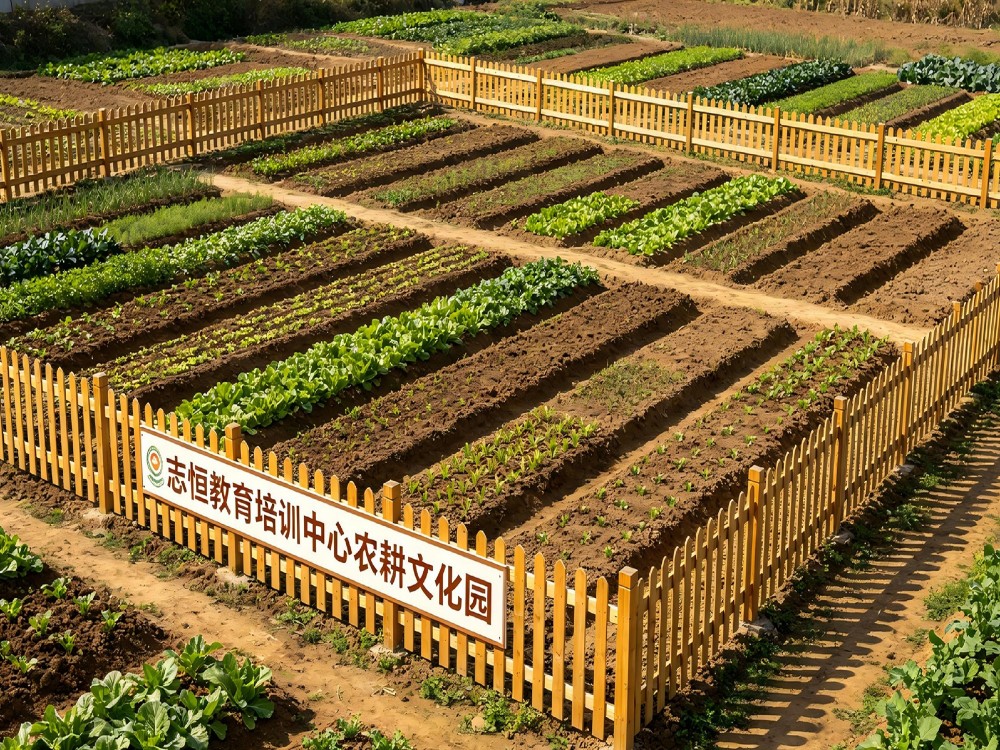 中山可靠的叛逆孩子管教学校推荐哪家：理性筛选与专业选择指南